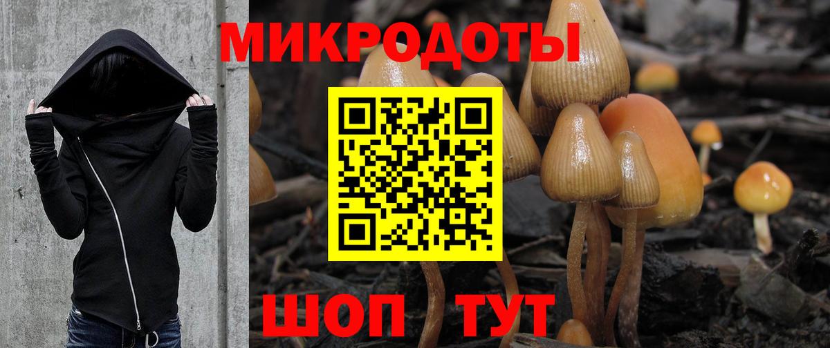 Псилоцибиновые грибы Psilocybe  Галлюциногенные грибы мухоморы  Тара  Вход с VPN 