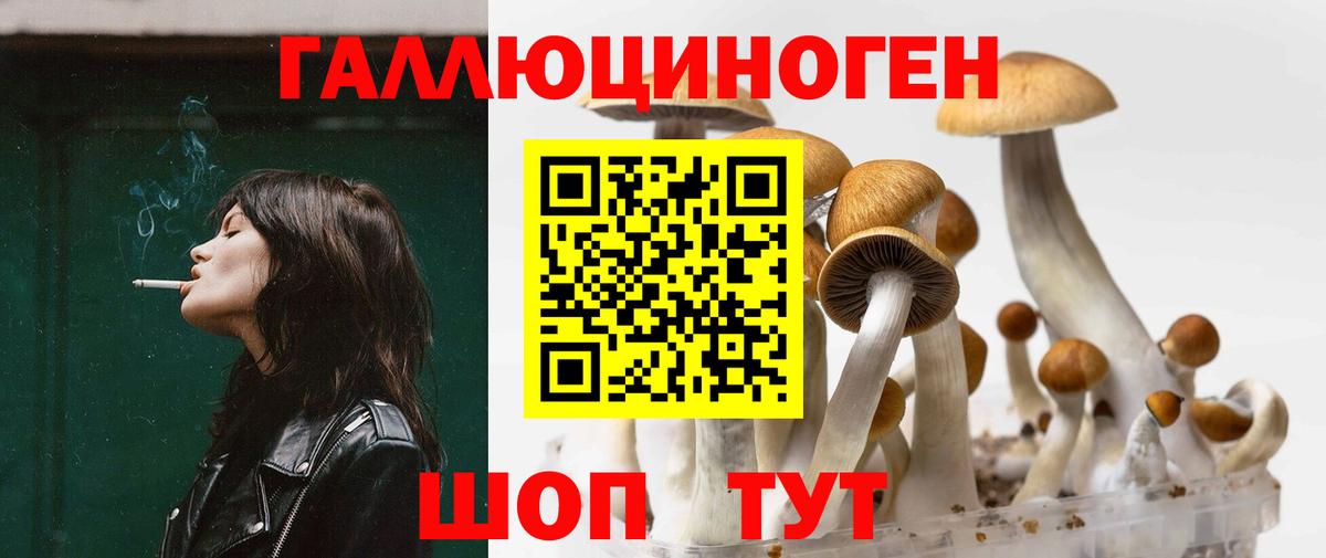 Галлюциногенные грибы прущие грибы Тара